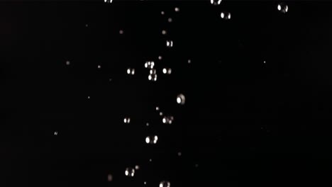 vuelo de limón en fondo negro en cámara lenta