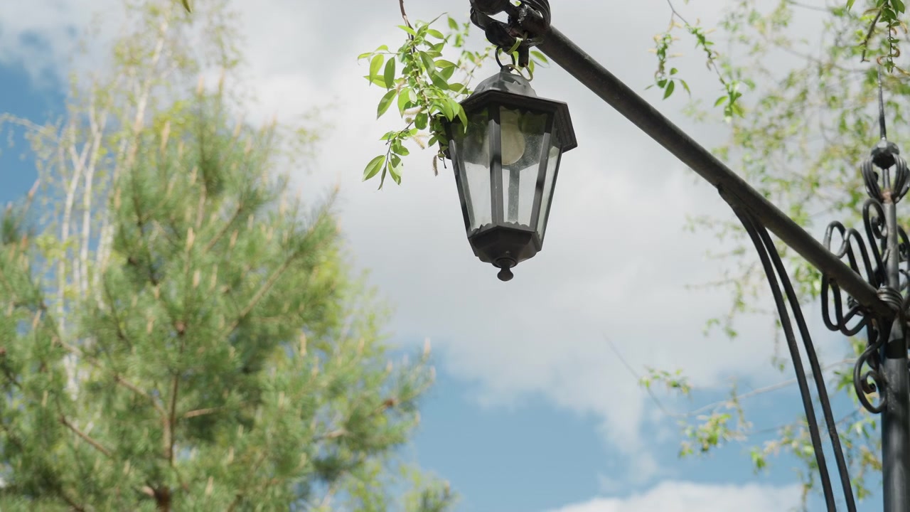Lampione decorativo circondato da foglie verdi e cielo blu.