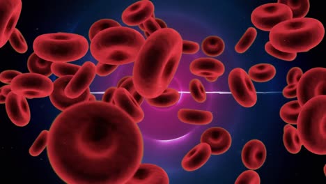 Animación-De-Células-Sanguíneas-Sobre-Círculos-Morados