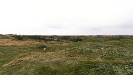 Country-Road-Near-Nature-Preserve-At-Waddensea-Island-Of-Texel-In-North-Holland,-Netherlands