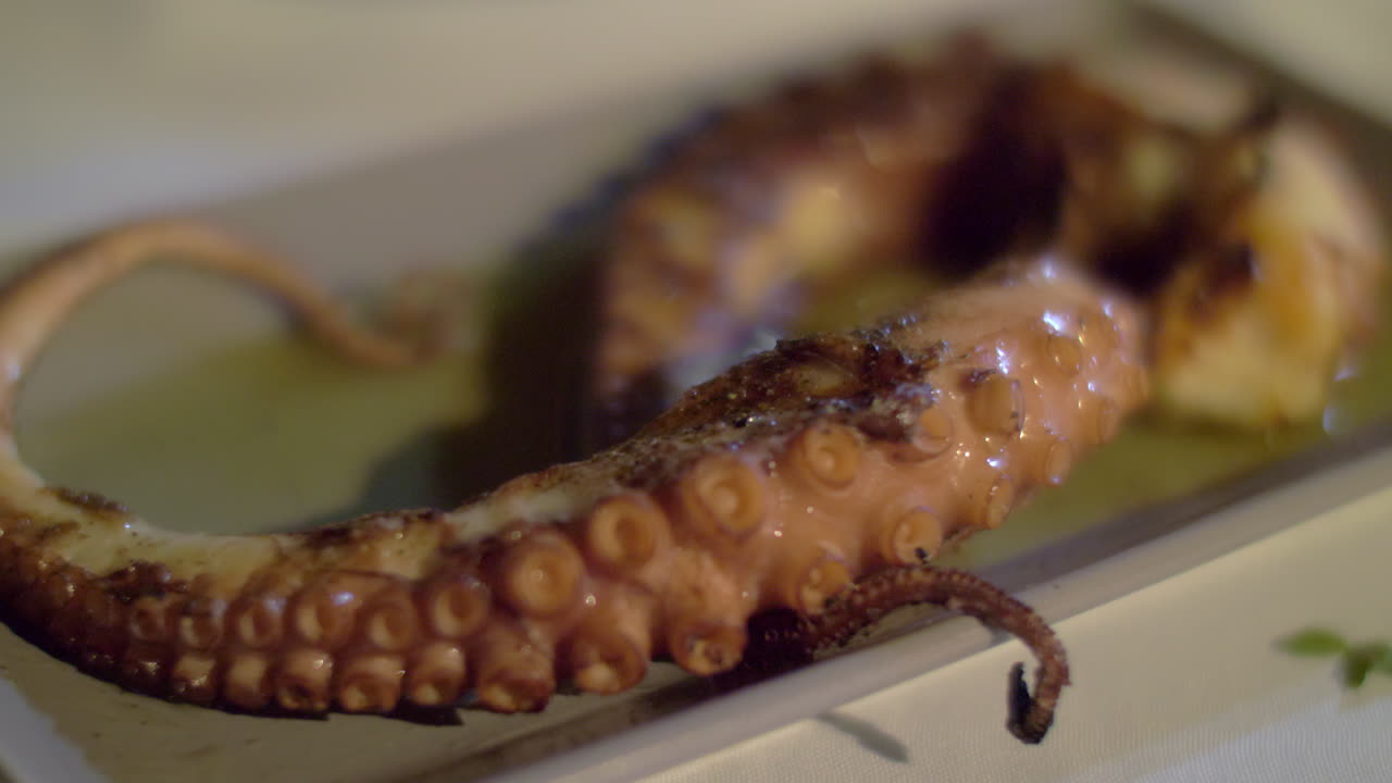 문어 요리로 저녁을 먹는 것