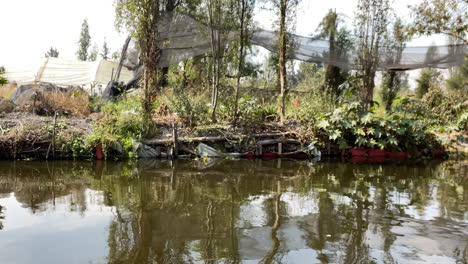 scena wycieczki po kanałach xochimilco