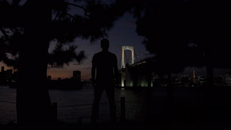 silhouette of man standing by bridge at night in tokyo