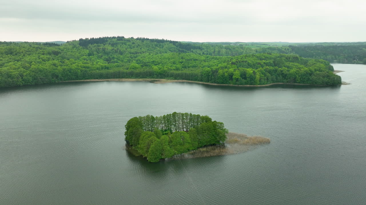 una vista aérea de una pequeña isla cubierta de densos árboles verdes en el medio de un lago, rodeada de un exuberante bosque verde