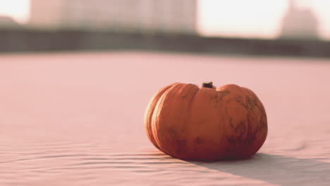 halloween pumpkin on the beach dunes