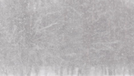 Heavy-snowfall-with-forestry-landscape-in-background