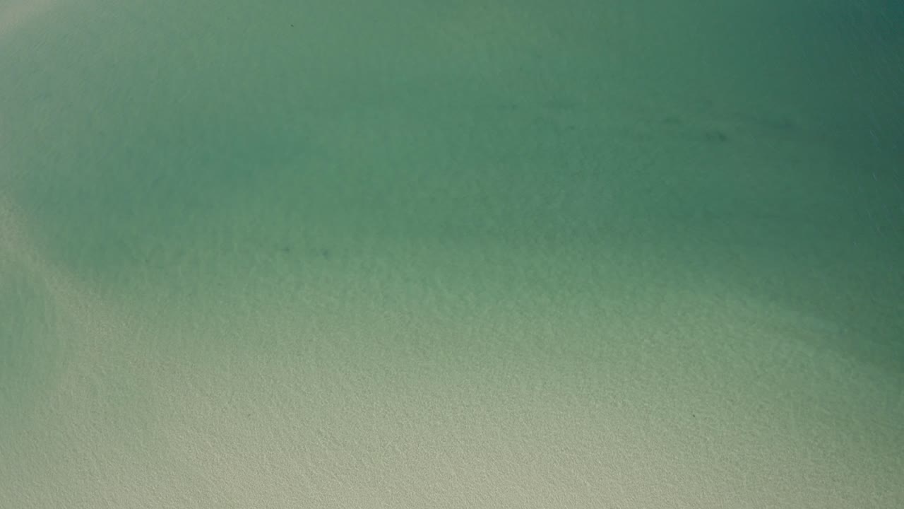 Wild Tropical Sandy Beach with Turquoise Waters