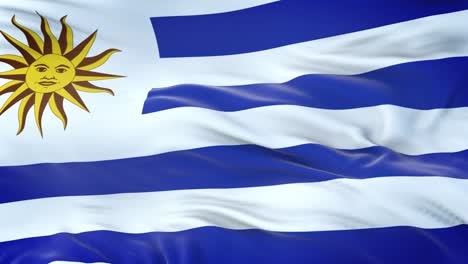 bandera de uruguay ondeando en el viento con textura de tela muy detallada. bucle sin costuras