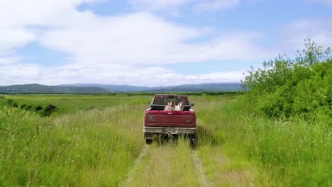 scenery of a red truck traveling at the green farmfield in oregon, united states