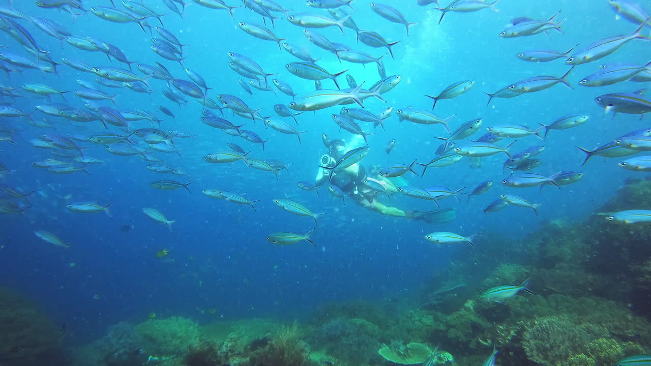 convertirse en uno con su entorno