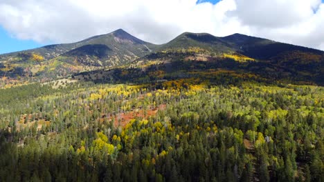 fall colors on humphreys peak near flagstaff, arizona