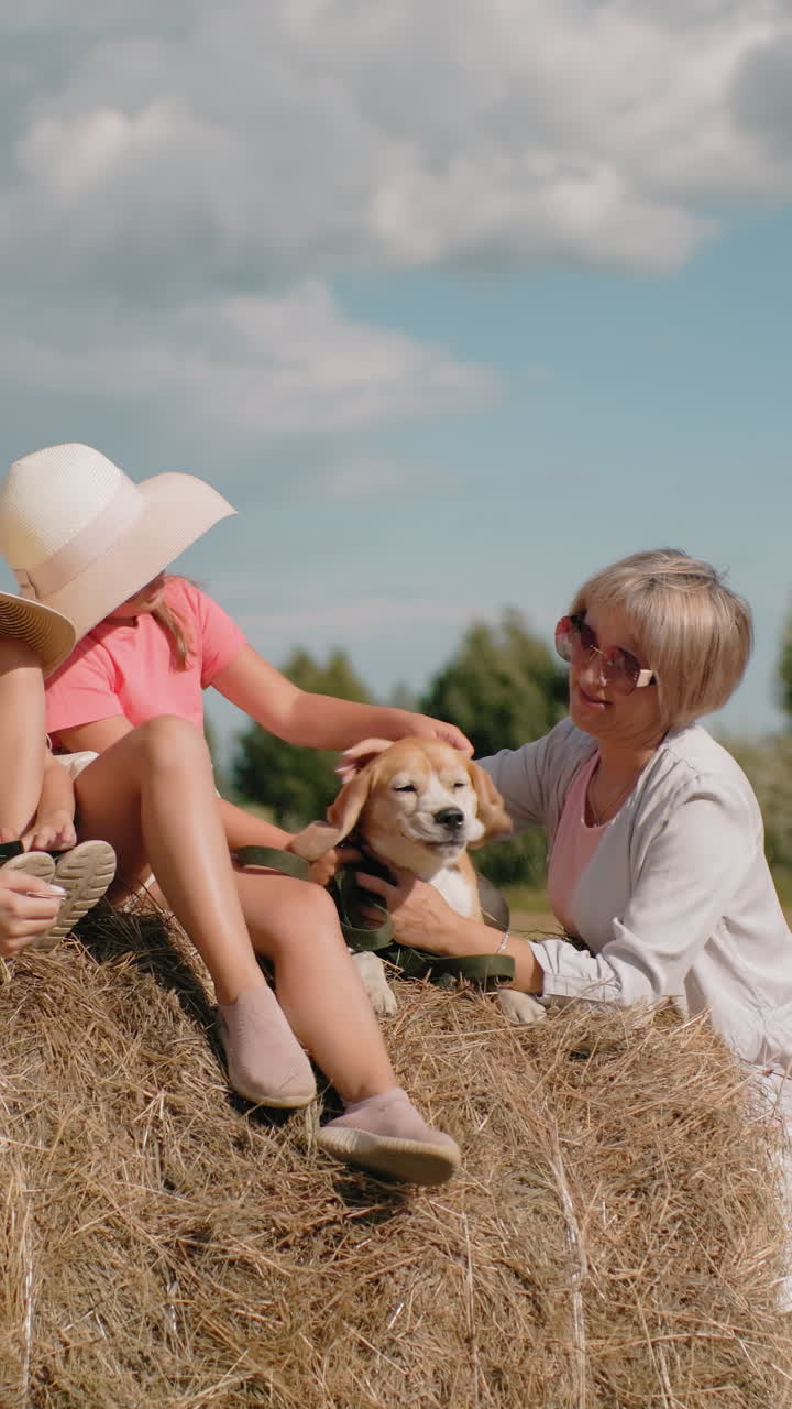 은 날 야외 놀이를 즐기는 가족,  모자를 입은 아이들, 할머니가 풀에서 개를 먹이는, 여성이 선글라스를 조정하는, 시골 풍경, 언덕, 배경의 나무