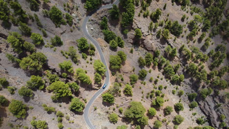 un coche que pasa por una carretera sinuosa en medio de un paisaje árido con vegetación verde en un día soleado - vista estática desde un dron