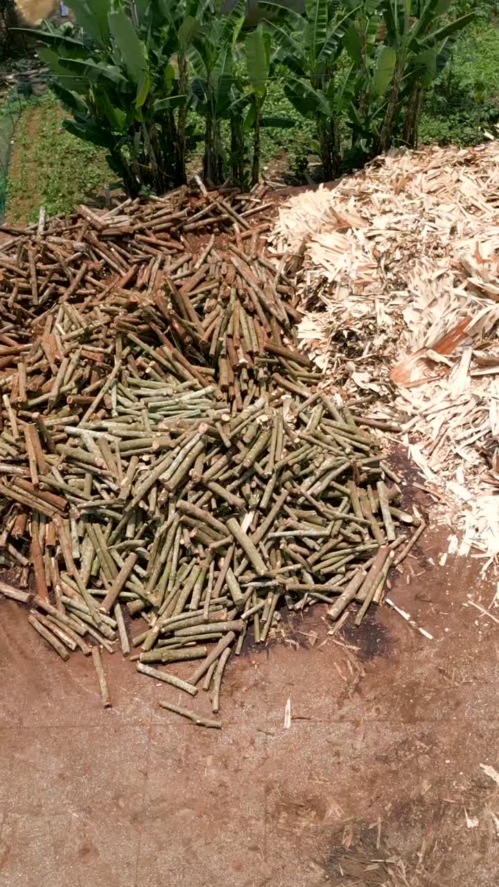Piles of Firewood and Woodchips