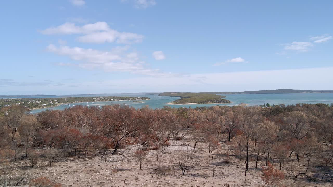 revelación creciente de la ciudad turística de coffin bay sobre la vegetación quemada de incendios forestales y árboles muertos, península de eyre, australia del sur