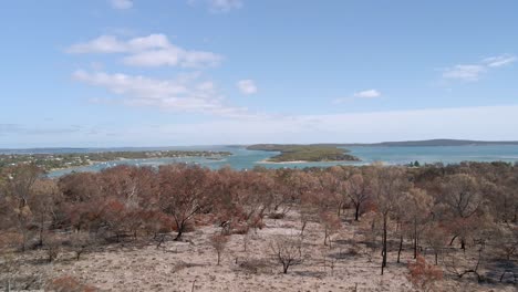 Revelación-Creciente-De-La-Ciudad-Turística-Coffin-Bay-Sobre-Vegetación-Quemada-Y-árboles-Muertos,-Península-De-Eyre,-Australia-Del-Sur