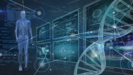 Animation of dna strand spinning over human body, scientific data processing on blue background