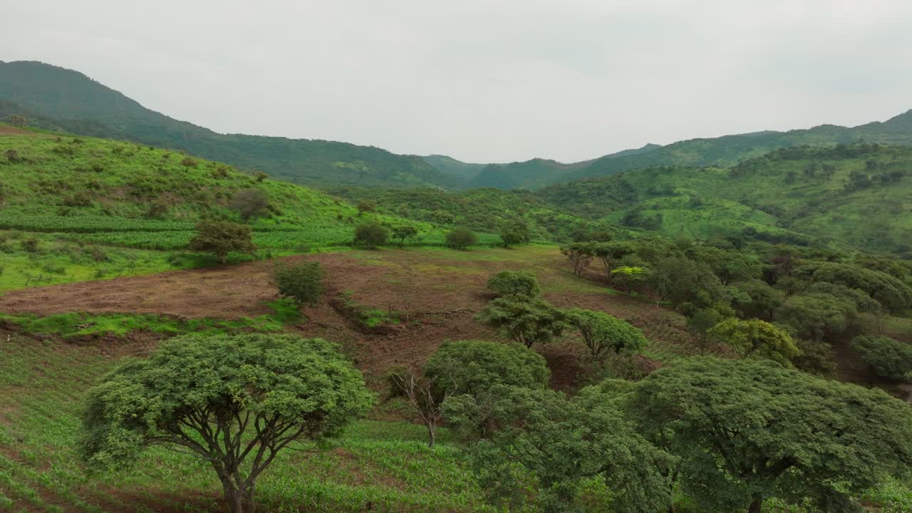 Lush Green Valley Landscape