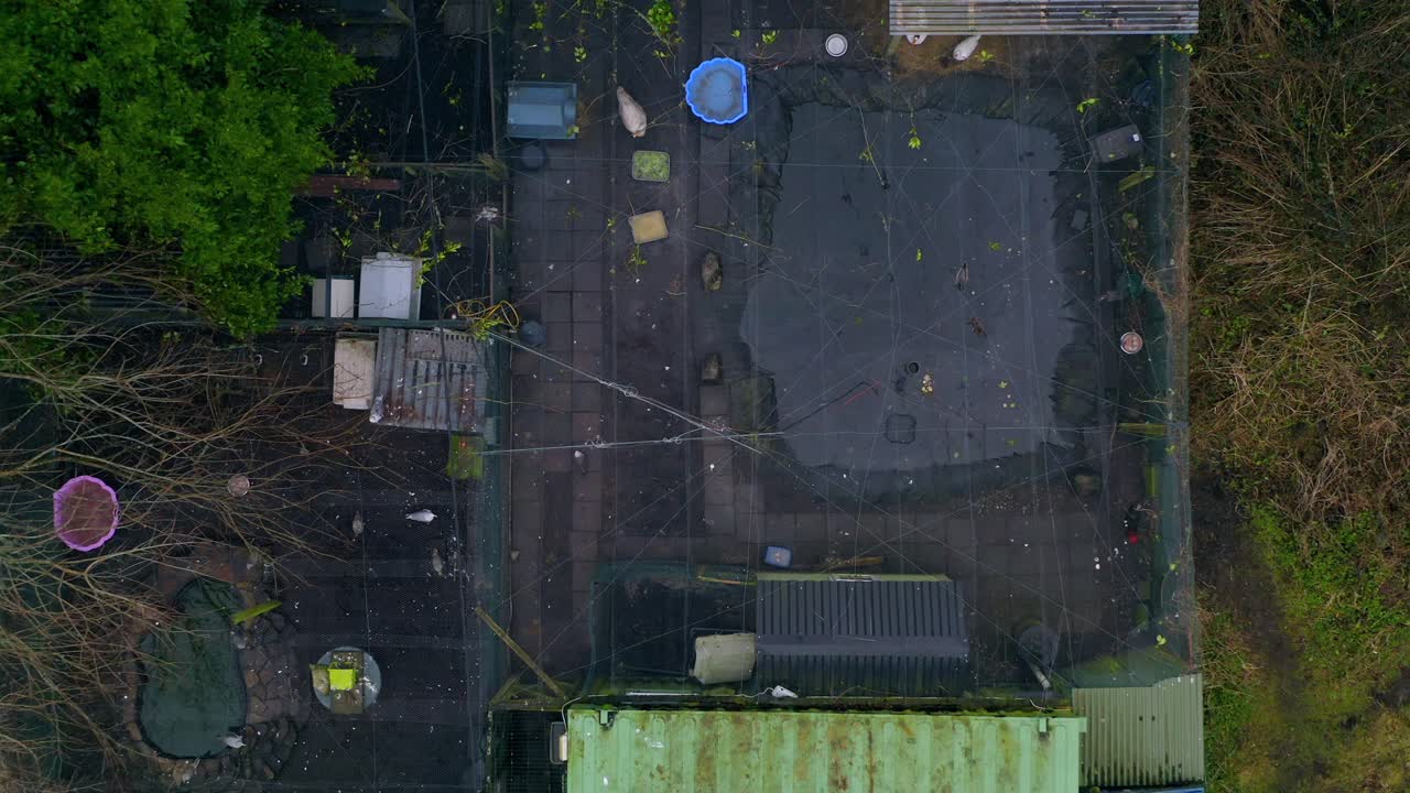 Ascending aerial shot over Rusheen Bay bird sanctuary, highlighting enclosures and bird activity