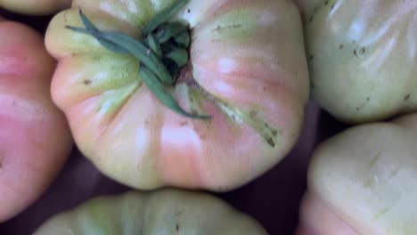 Video-sequence-of-moving-over-basket-filled-with-vegetables,-Spanish-tomatoes