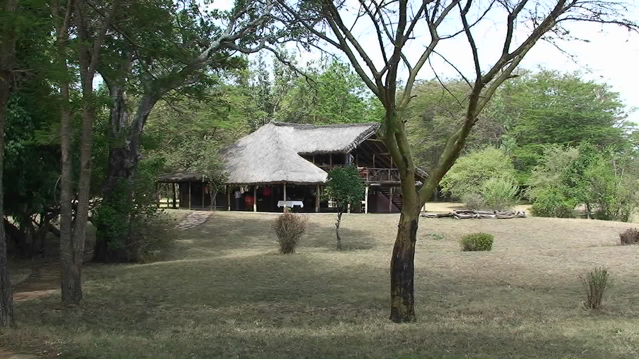 la gente camina alrededor de la sombra de su albergue