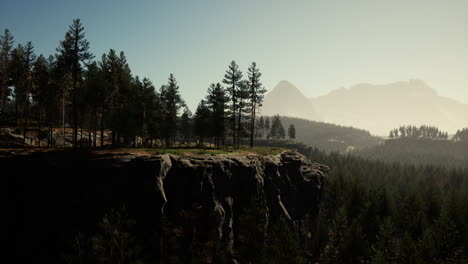 Evergreen-fir-tree-and-mountains-on-a-background-on-a-sunset-after-the-rain