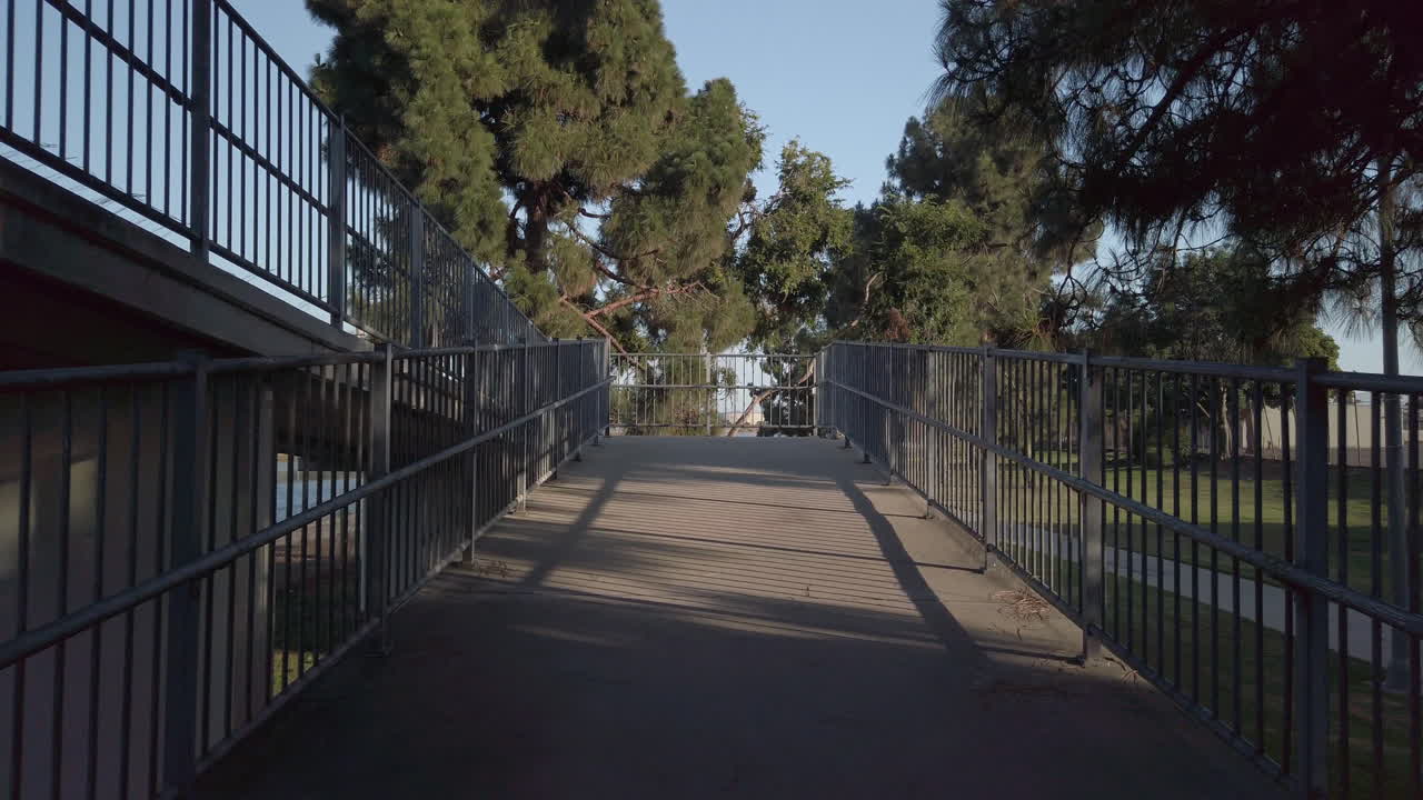 Camminare su una rampa verso gli alberi