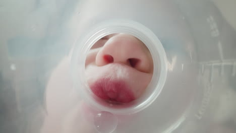 girl drinks last drops of clear water from plastic bottle