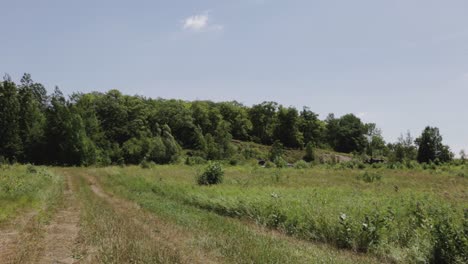 Wilde-Landschaft-Und-Viel-Grün-In-Einem-Hellen-Sommertag---Weite-Aufnahme