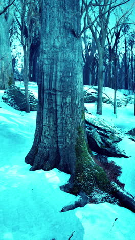 a snowy forest with a large tree trunk in the foreground