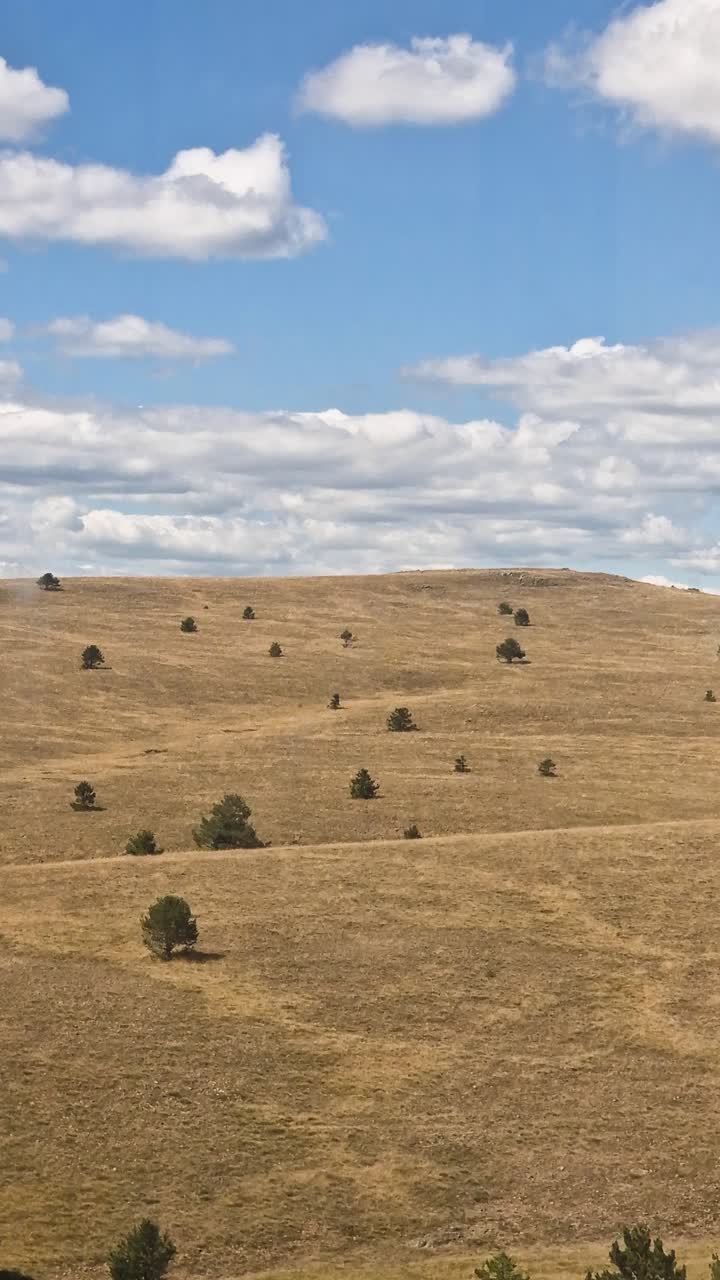 Vertical Aerial View of Mountain Landscape, Pastures and Pine Trees Under Clouds on Sunny Summer Day