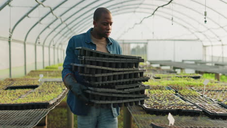 farm, sustainability and a black man