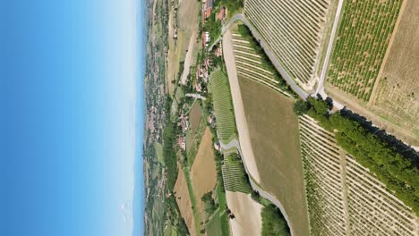 aerial view over vineyards at casale monferrato on sunny day with blue skies