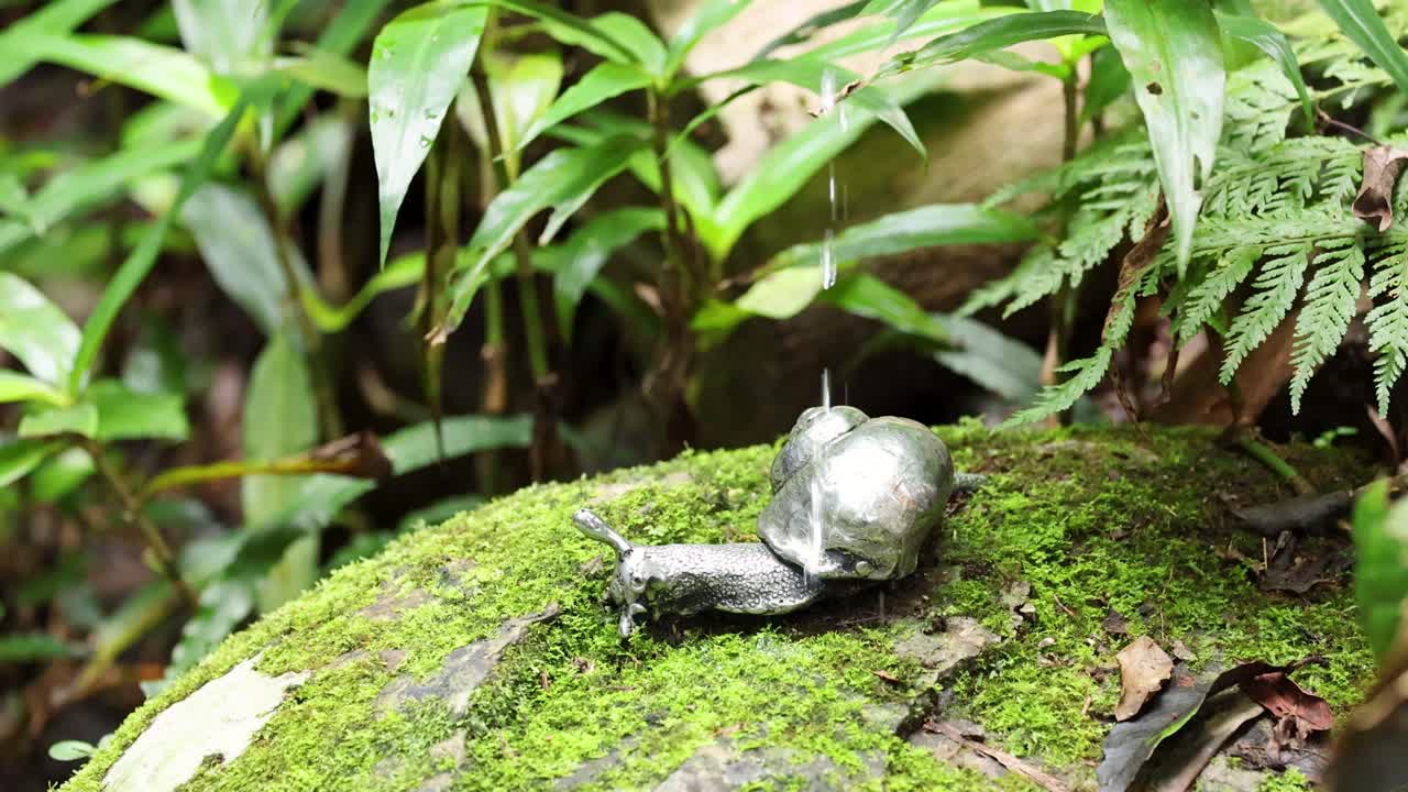 A snail moves slowly across a moss-covered rock in a lush forest, captured in natural lighting