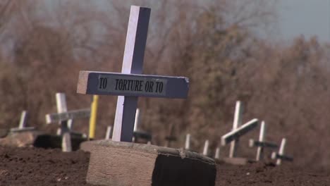 crosses mark graves of people who are not forgotten 1