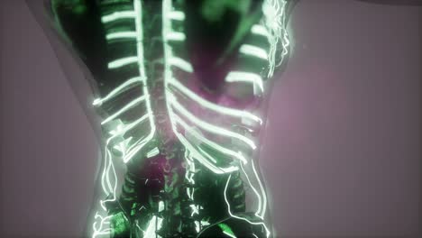 Human-Body-with-Glow-Blood-Vessels