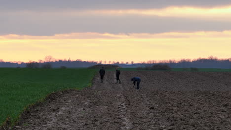 Unrecognizable-people-using-metal-detector-in-rural-field-at-sunset