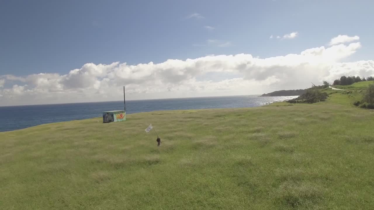 Drone boy with flag in field ocean