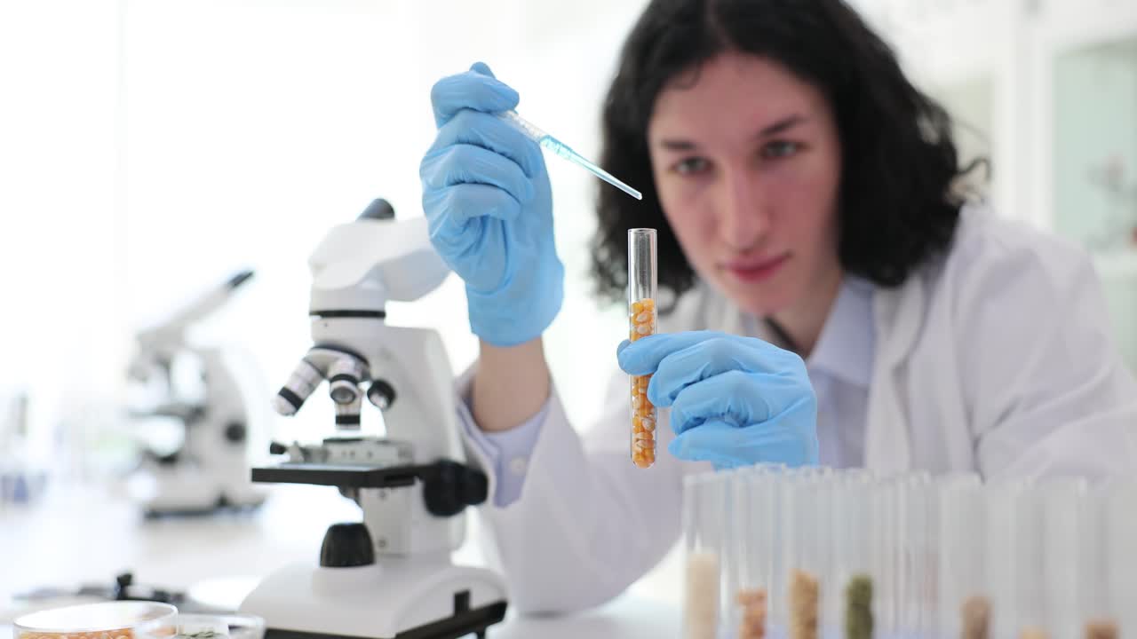 Scientist working with corn samples in a laboratory