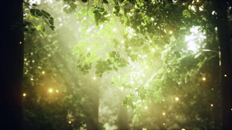 magical forest with sunlight and fireflies