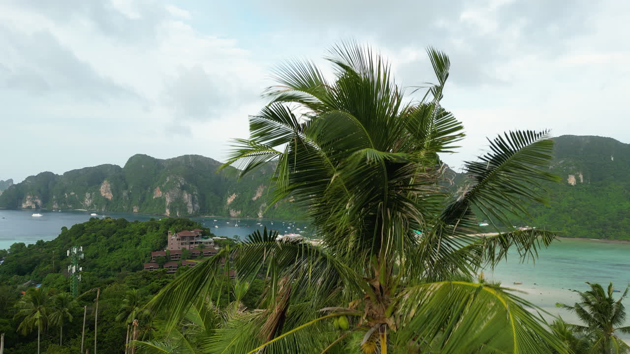 Veduta aerea in ascesa oltre alcune palme sull'isola di Phi Phi, Provincia di Krabi, Thailandia