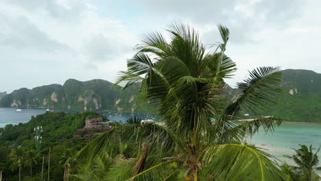 Aerial-rising-past-some-palm-trees-over-Phi-Phi-Island,-Krabi-Province,-Thailand