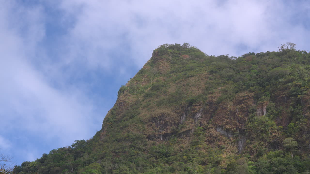 un pico de montaña verde y exuberante bajo un cielo azul claro, con follaje en primer plano en san carlos