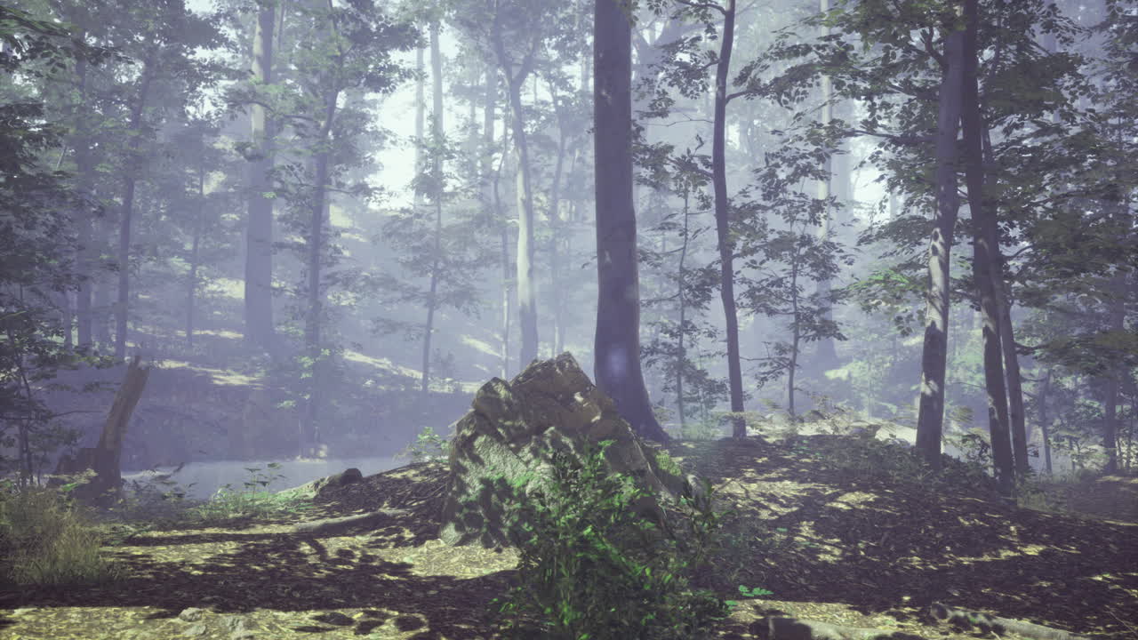 Misty forest landscape with tranquil pond and lush greenery in morning light