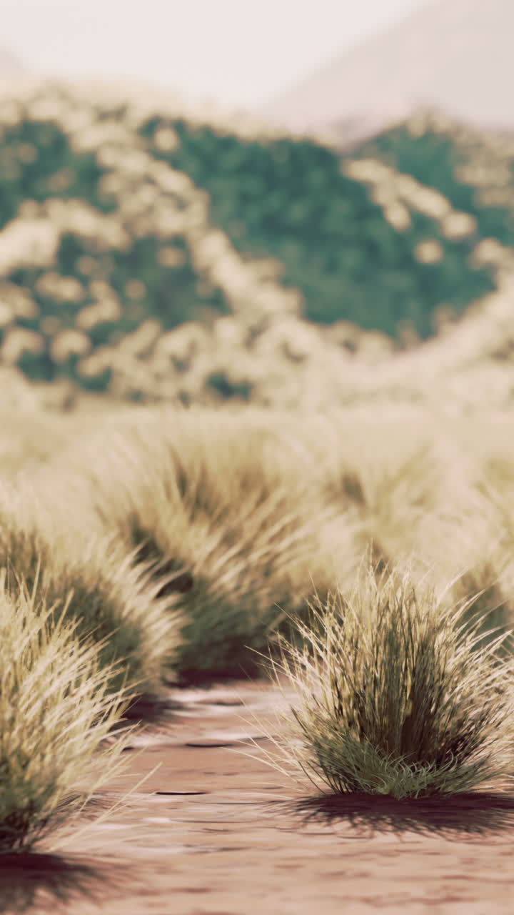 hermoso campo de hierba con colinas en el fondo