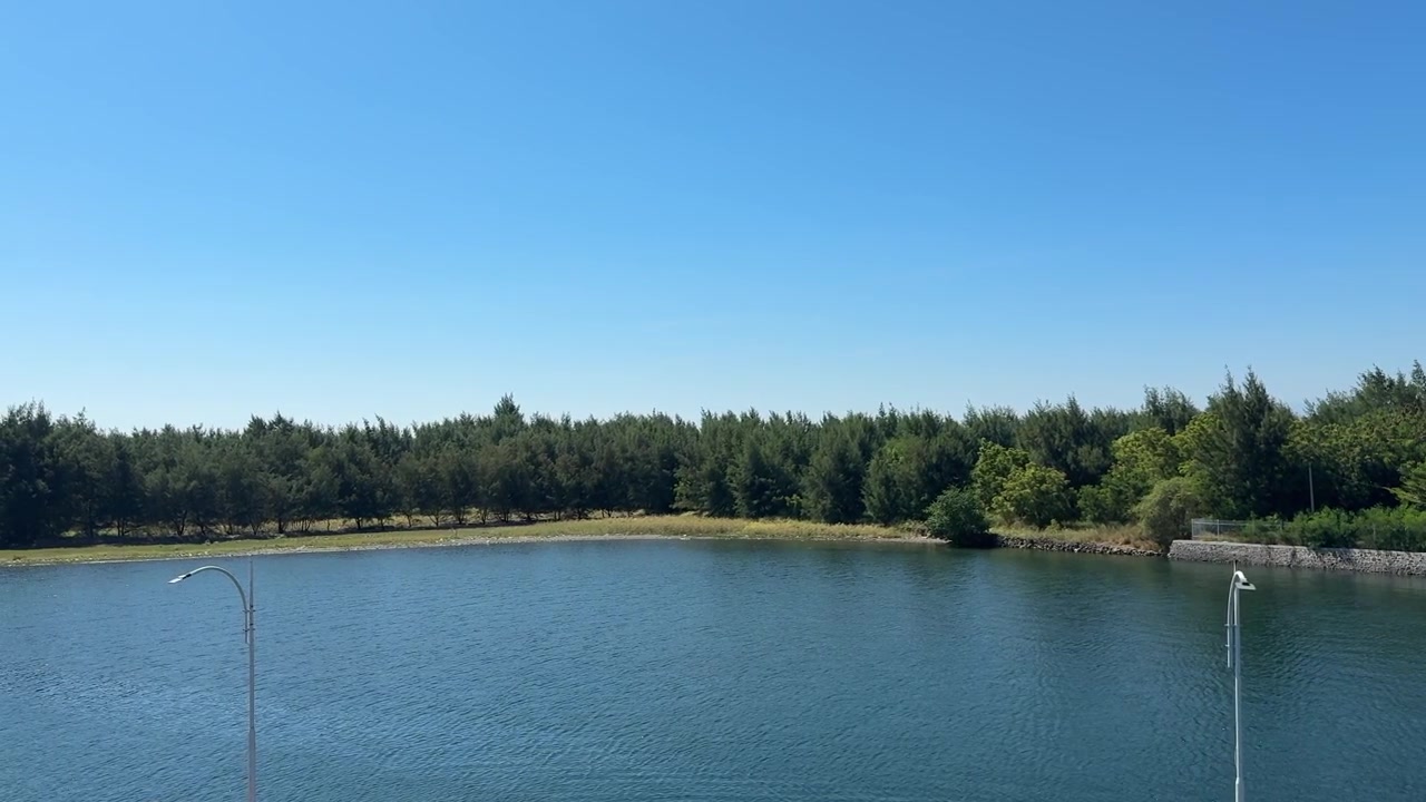 Panoramavy över lugn vik kantad av gröna träd