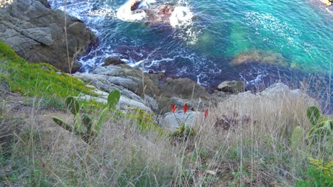 Playa-Europea-En-España-Mediterranea-Casas-Blancas-Mar-En-Calma-Azul-Turquesa-Begur-Costa-Brava-Ibiza