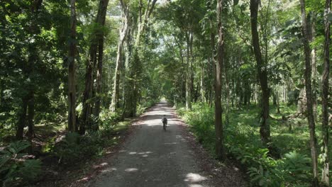 Ein-Erwachsener,-Der-In-Einem-Tropischen-Wald-Radelt