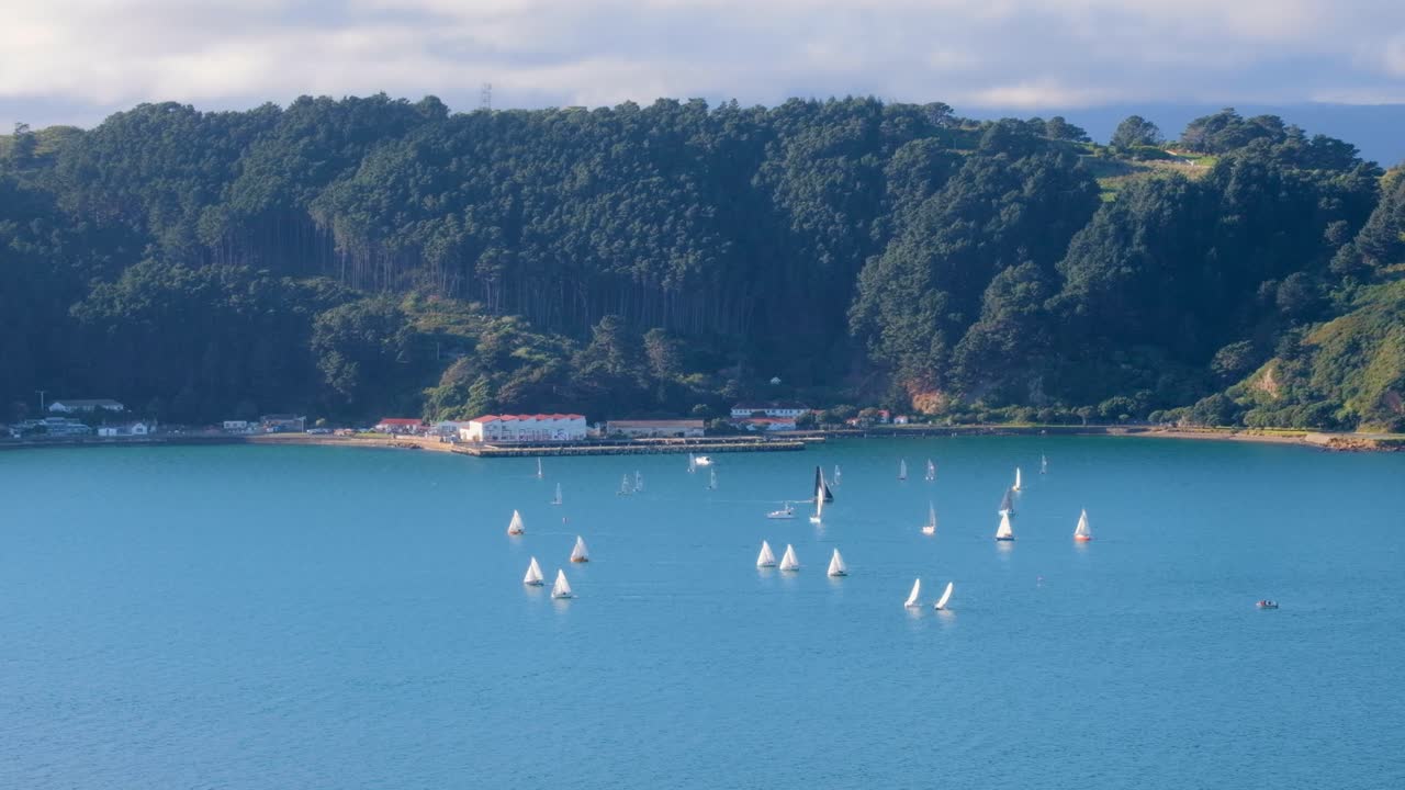 화려한 푸른 청록색 바다와 미라마 반도, 뉴질랜드 아오테아로아가 있는 수도 웰링턴 항구의 셸리 베이 근처에서 범선 요트의 시간 경과