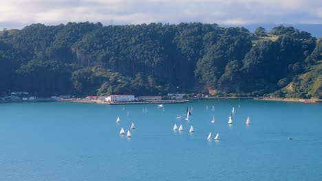 Lapso-De-Tiempo-De-Yates-De-Veleros-Cerca-De-Shelly-Bay-En-El-Puerto-De-Wellington-De-La-Capital-Con-El-Brillante-Océano-Azul-Turquesa-Y-La-Península-De-Miramar,-Nueva-Zelanda-Aotearoa